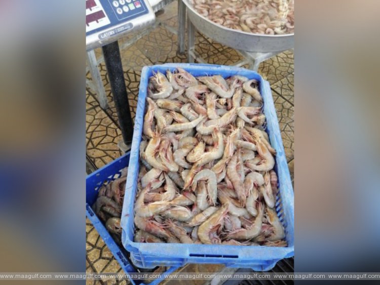 ఆ రొయ్యల వినియోగంపై నిషేధం విధించిన ఖతార్